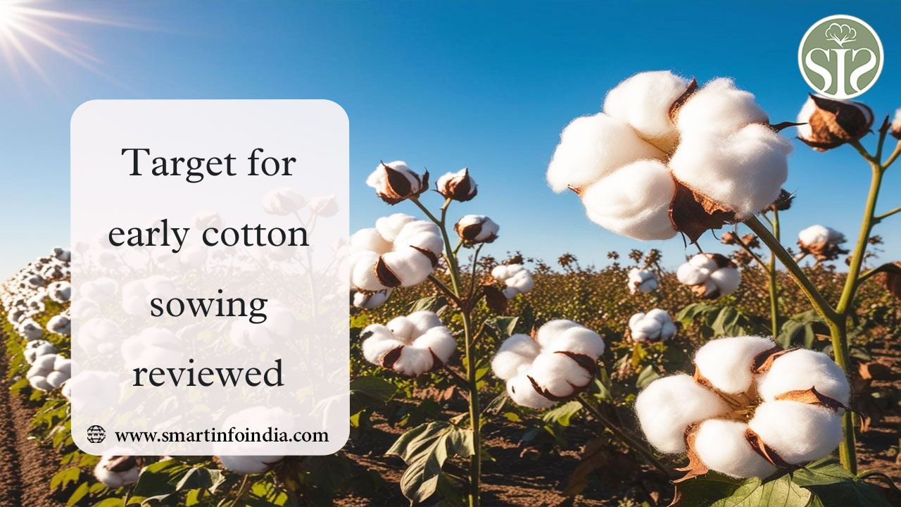 Target for early cotton sowing reviewed