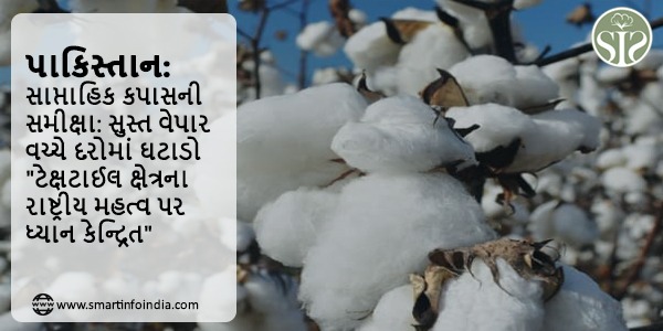 પાકિસ્તાન: સાપ્તાહિક કપાસની સમીક્ષા: સુસ્ત વેપાર વચ્ચે દરોમાં ઘટાડો "ટેક્ષટાઈલ ક્ષેત્રના રાષ્ટ્રીય મહત્વ પર ધ્યાન કેન્દ્રિત"