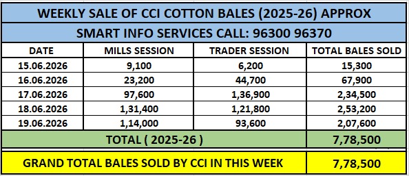 CCIએ કપાસના ભાવ વધાર્યા, વેચાણ 7.78 લાખ ગાંઠ પાર