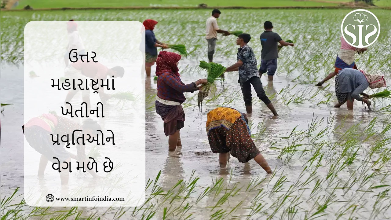 ઉત્તર મહારાષ્ટ્રમાં કૃષિ પ્રવૃત્તિઓમાં વધારો