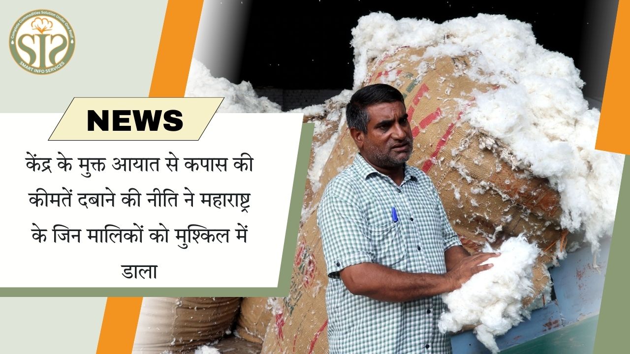 मुक्त आयात नीति से महाराष्ट्र के कपास मालिक संकट में