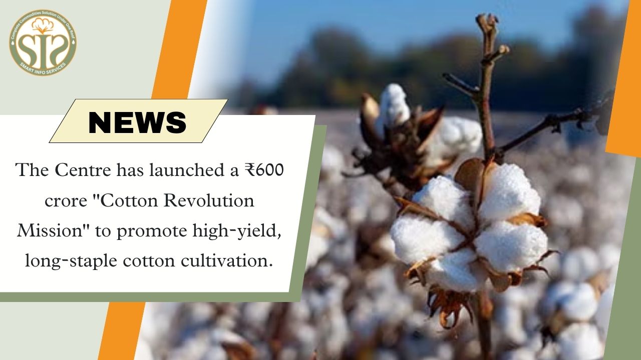 Centre launches ₹600 crore 'Cotton Revolution Mission'