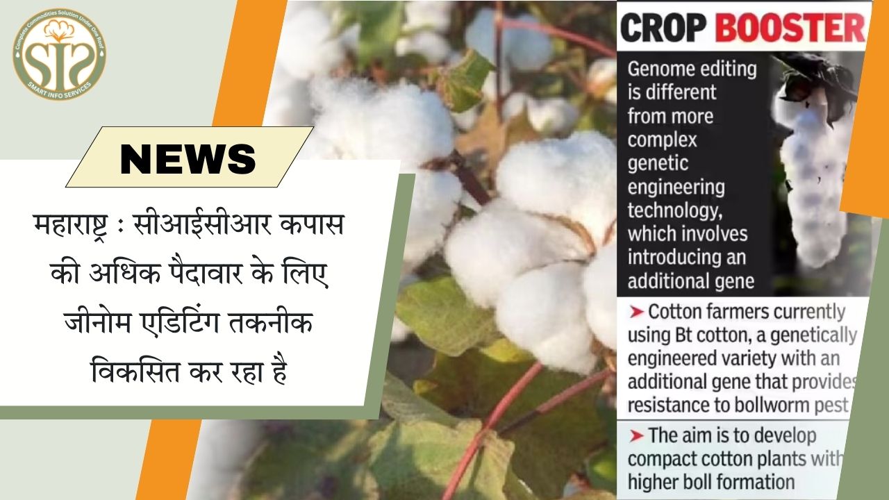 कपास उत्पादन बढ़ाने सीआईसीआर की जेनेटिक पहल