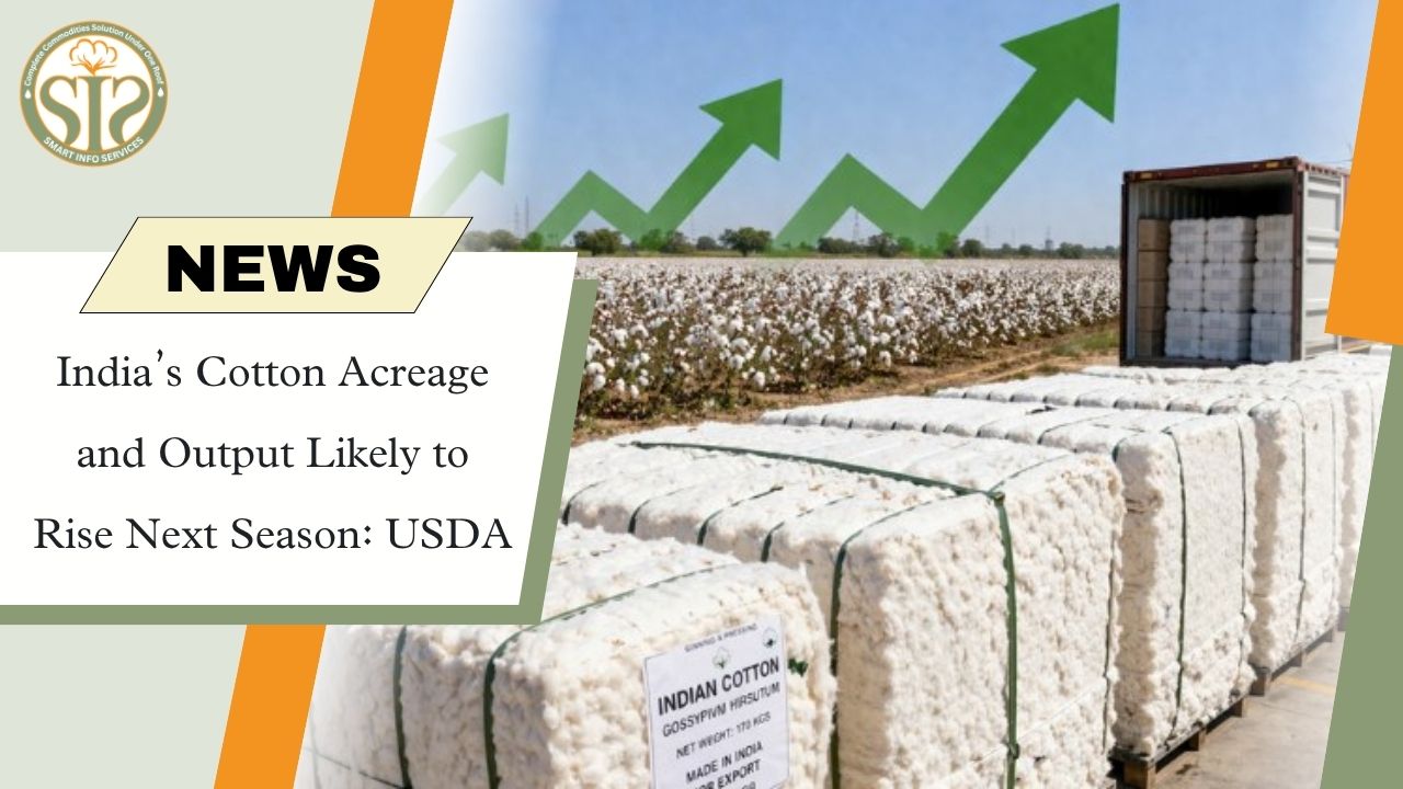 Cotton Acreage and Production in India Likely to Rise Next Season: USDA