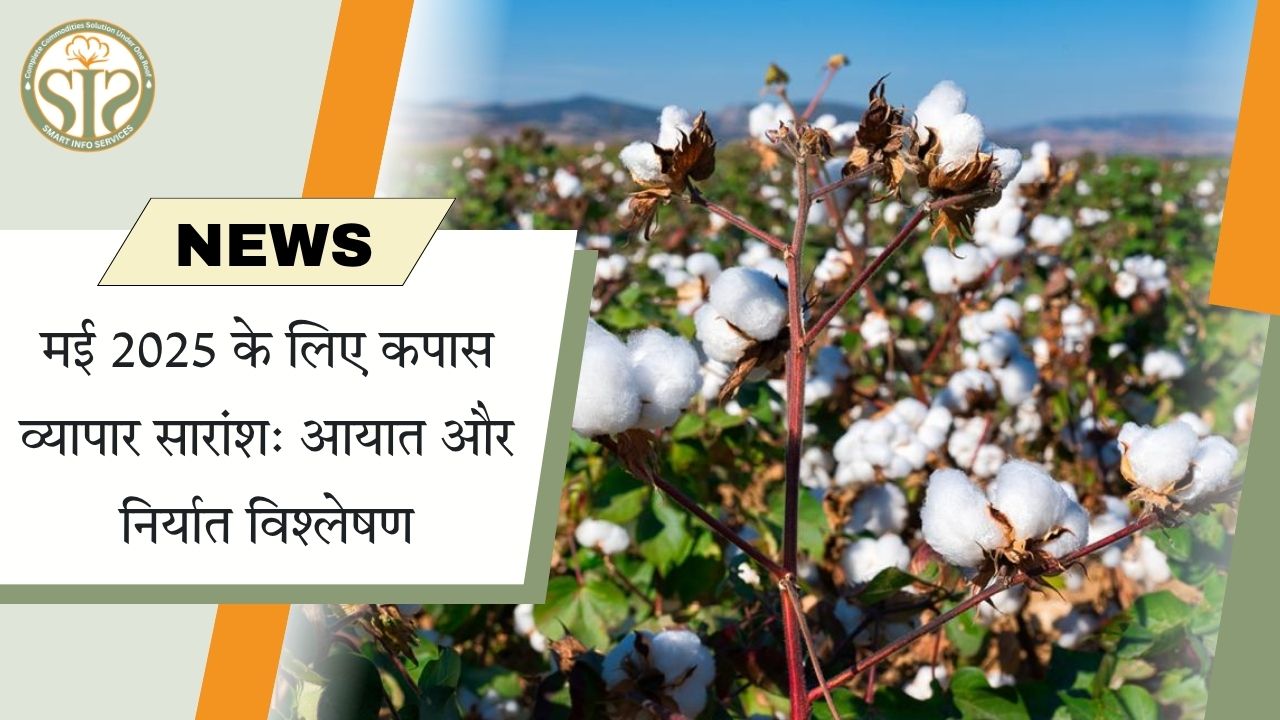मई 2025 के लिए कपास व्यापार सारांश: आयात और निर्यात विश्लेषण