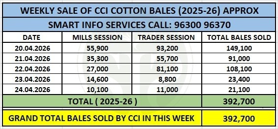 CCI Hikes Cotton Prices by ₹600–₹1,000; Auction Sales Cross 3.92 Lakh Bales