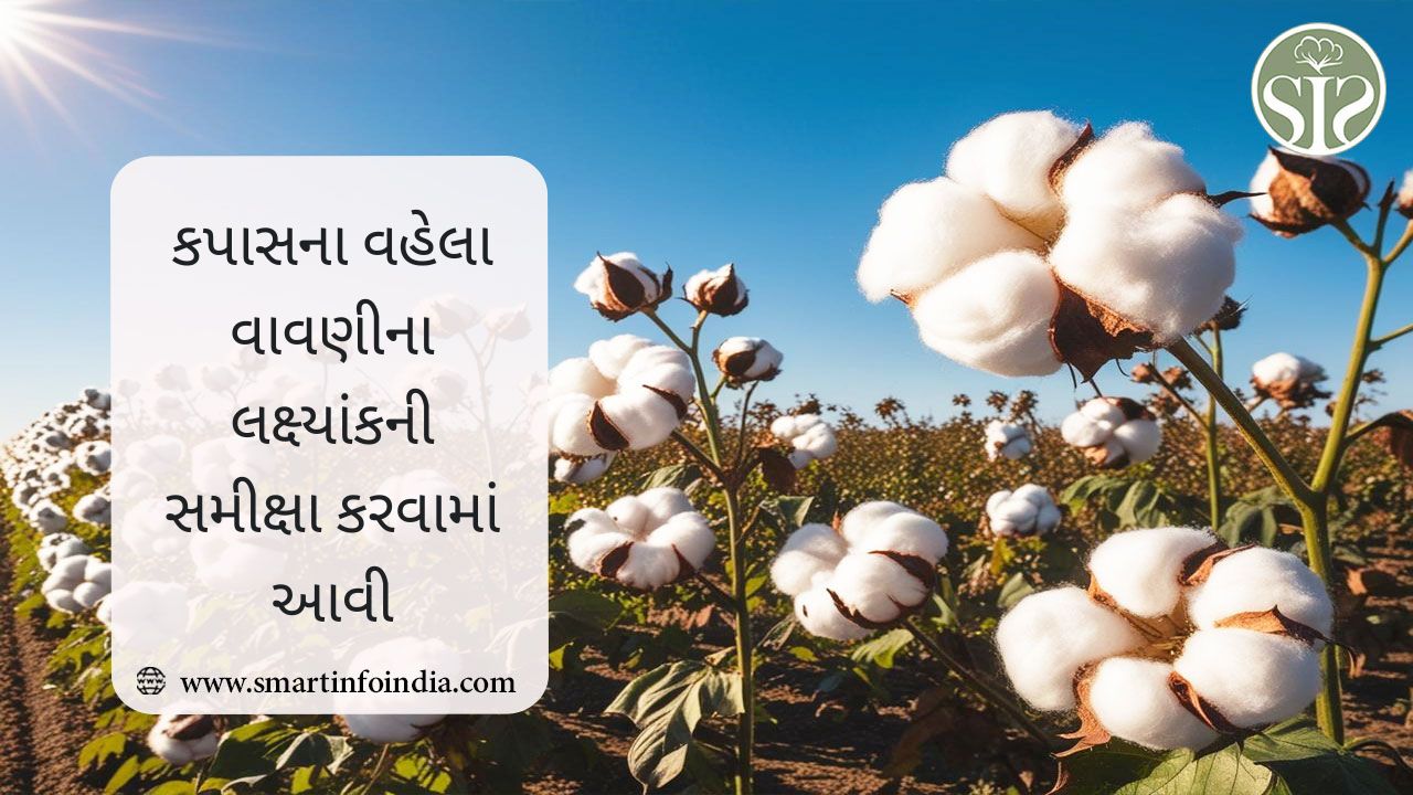 કપાસના વહેલા વાવણીના લક્ષ્યાંકની સમીક્ષા કરવામાં આવી