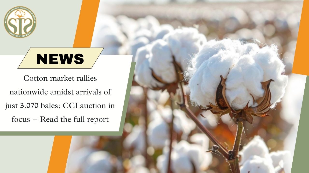 Cotton Market Rallies Nationwide