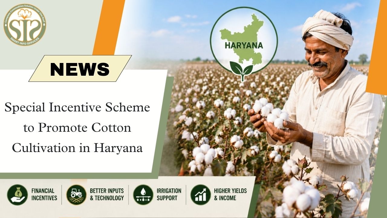 Haryana Government's New Incentive Initiative for Cotton Farmers