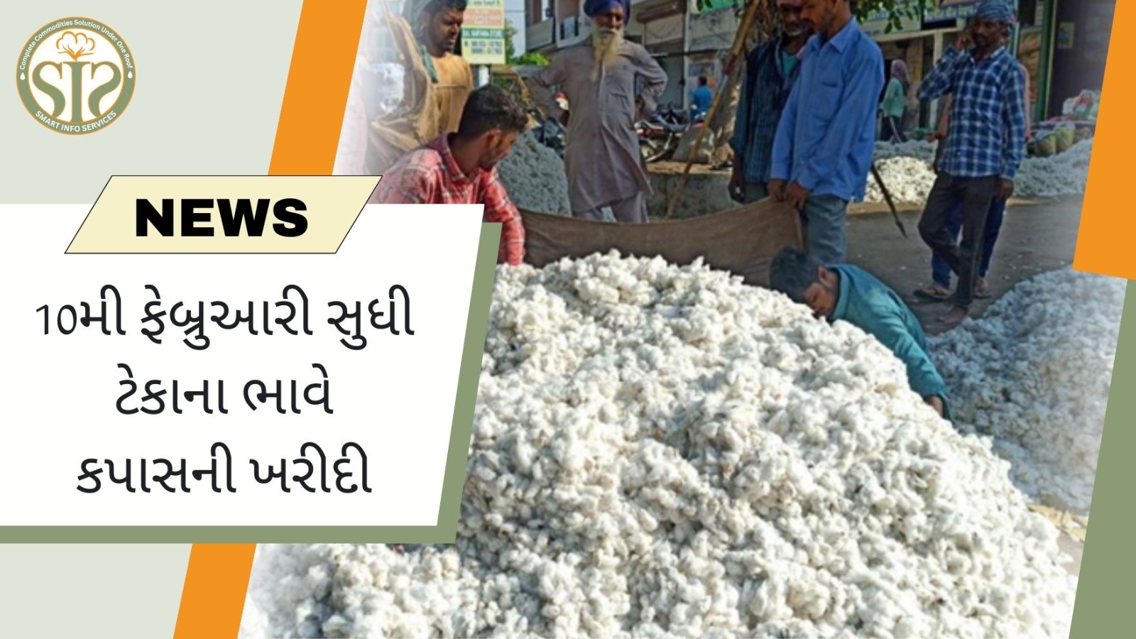 કપાસની MSP ખરીદી માટેની છેલ્લી તારીખ 10 ફેબ્રુઆરી