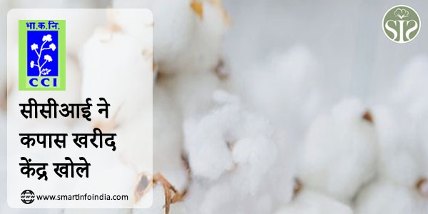 CCI opens cotton procurement centers