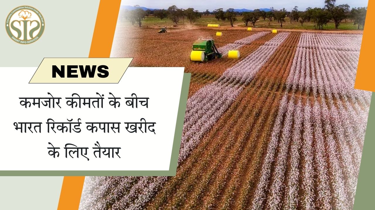 भारत कमजोर कीमतों पर रिकॉर्ड कपास खरीदेगा