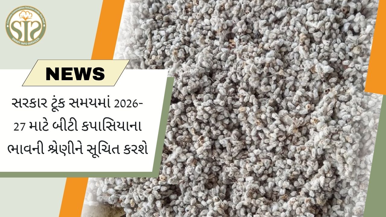 સરકાર ટૂંક સમયમાં 2026-27 માટે બીટી કપાસિયાના ભાવ નક્કી કરશે