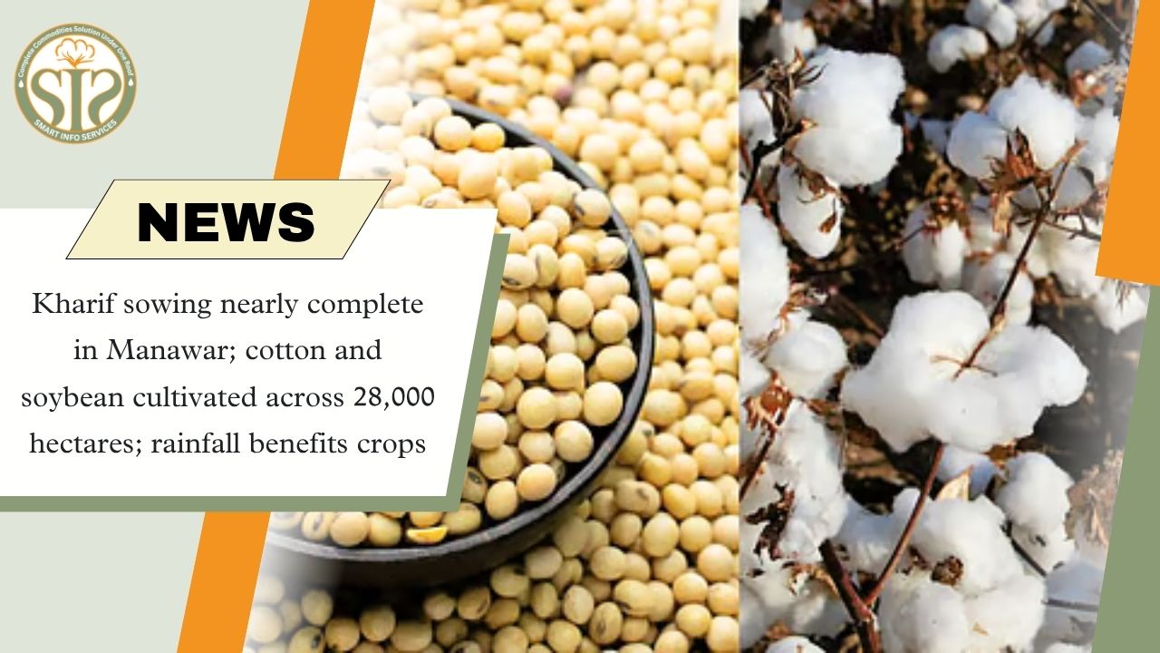 Kharif Sowing Nears Completion in Manawar as Cotton and Soybean Cover 28,000 Hectares