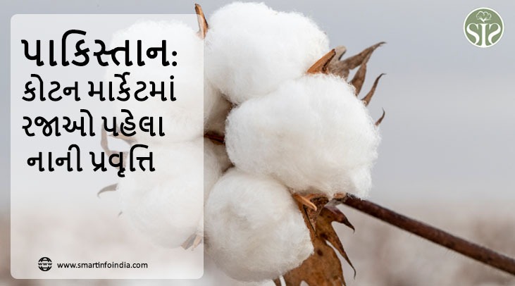 પાકિસ્તાન: "કોટન માર્કેટમાં રજાઓ પહેલા નાની પ્રવૃત્તિ"