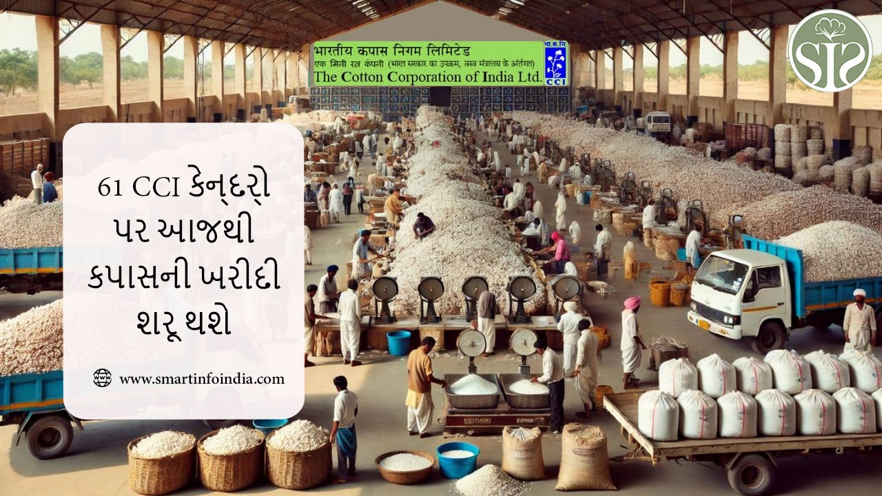 61 CCI કેન્દ્રો પર આજથી કપાસની ખરીદી શરૂ થશે