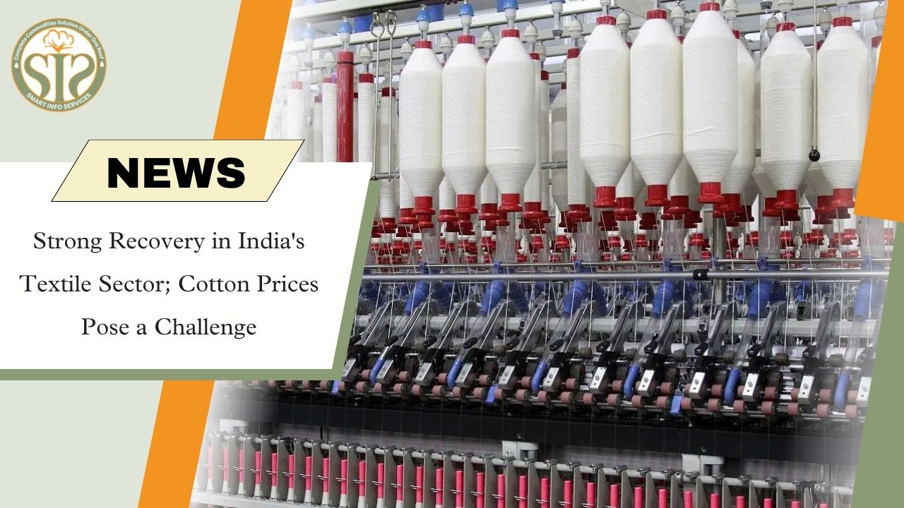 India Textile Sector Recovery Gains Strength