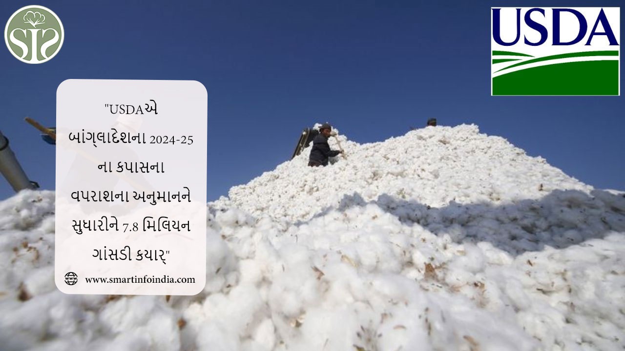 USDAએ બાંગ્લાદેશના 2024-25ના કપાસના વપરાશના અનુમાનને સુધારીને 7.8 મિલિયન ગાંસડી કર્યા