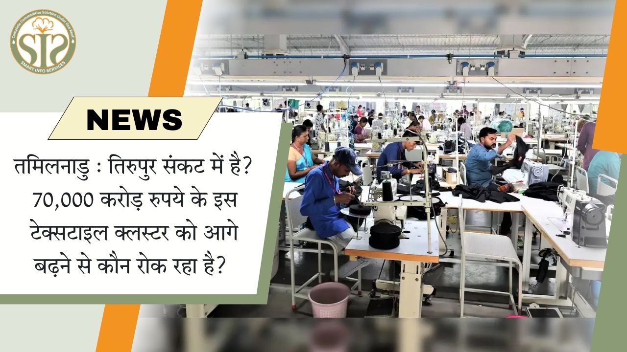 तमिलनाडु : तिरुपुर संकट में है? 70,000 करोड़ रुपये के इस टेक्सटाइल क्लस्टर को आगे बढ़ने से कौन रोक रहा है?