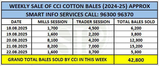 CCI એ ઈ-ઓક્શન દ્વારા 72% કપાસ વેચ્યો, ભાવ ઘટાડ્યા