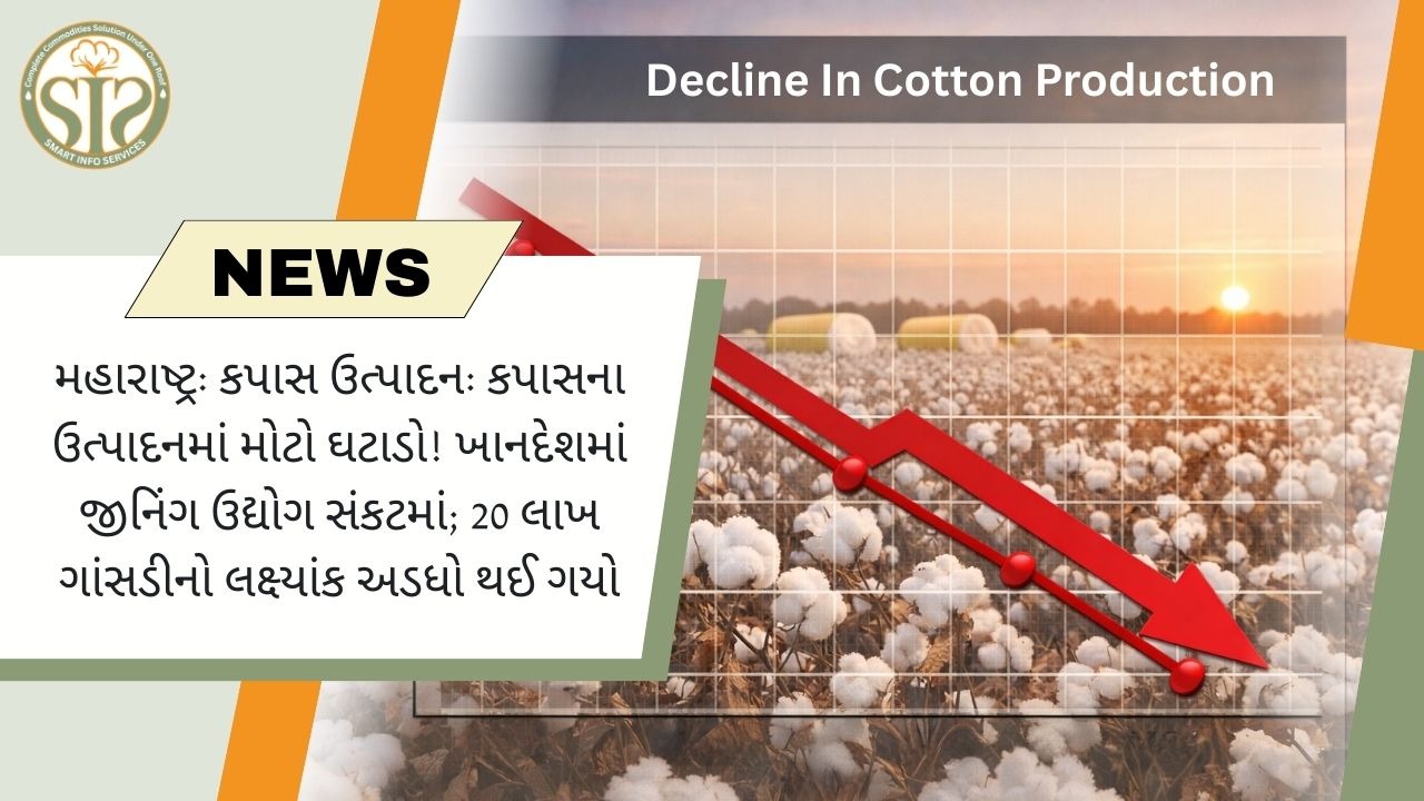 મહારાષ્ટ્રમાં કપાસના ઉત્પાદનમાં મોટો ઘટાડો, ખાનદેશનો જિનિંગ ઉદ્યોગ સંકટમાં