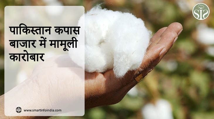 पाकिस्तान कपास बाजार में मामूली कारोबार