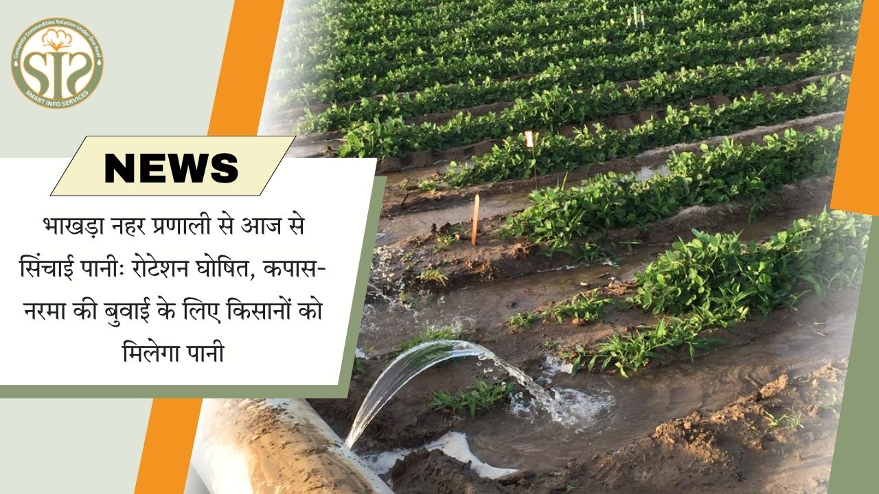 हनुमानगढ़ में भाखड़ा नहर का पानी शुरू, कपास और खरीफ बुवाई को मिलेगा फायदा