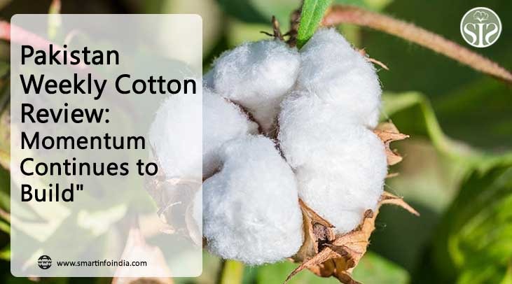 Pakistan Weekly Cotton Review: Bullish trend continues