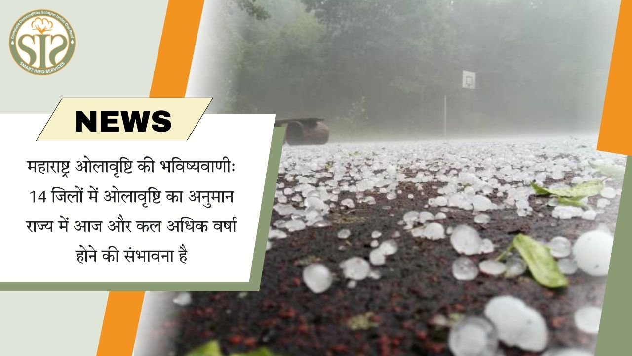 महाराष्ट्र:14 जिलों में भारी बारिश व ओले की संभावना