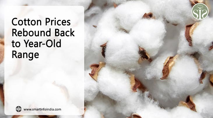Cotton prices returned to one year old levels