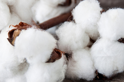 Prices continue upward march on cotton market