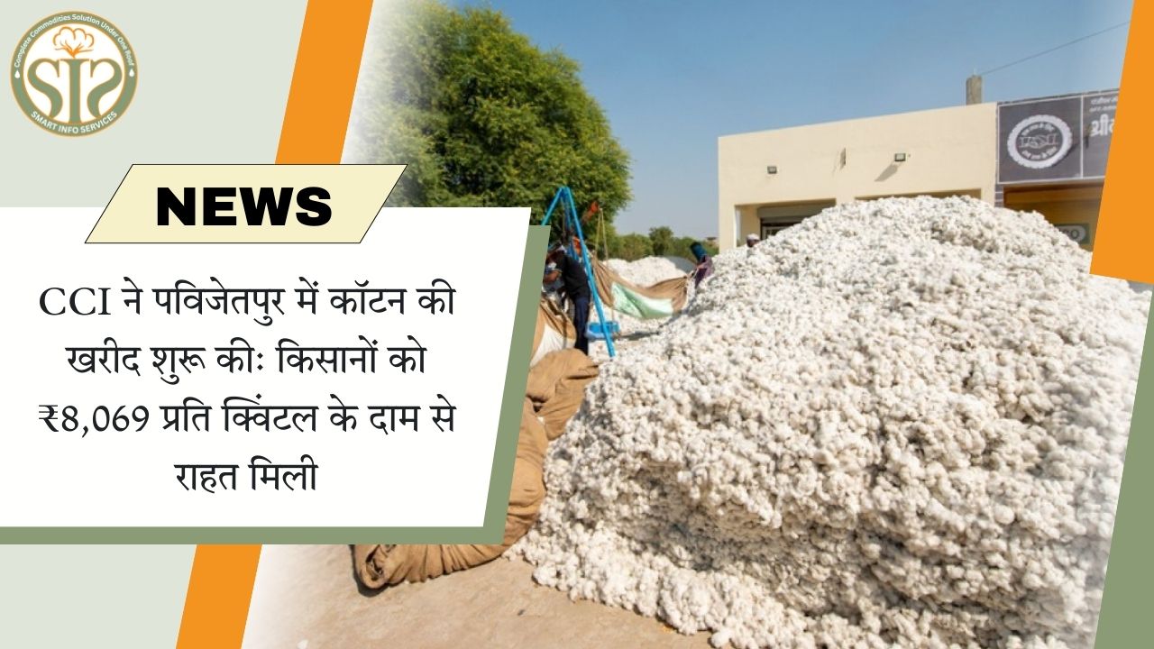 CCI ने पविजेतपुर में कॉटन की खरीद शुरू की - किसानों को राहत