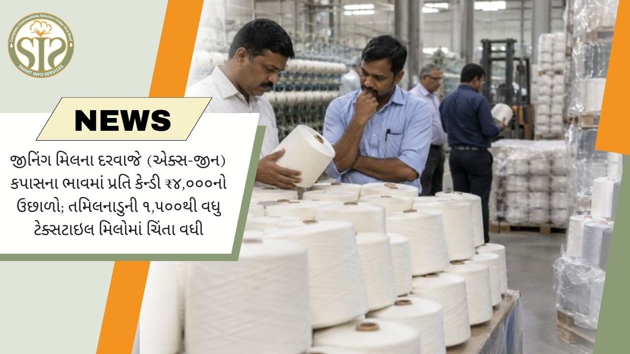 એક્સ-જિન કપાસના ભાવમાં ₹4,000નો ઉછાળો, તમિલનાડુની 1,500થી વધુ મિલોની ચિંતા વધી