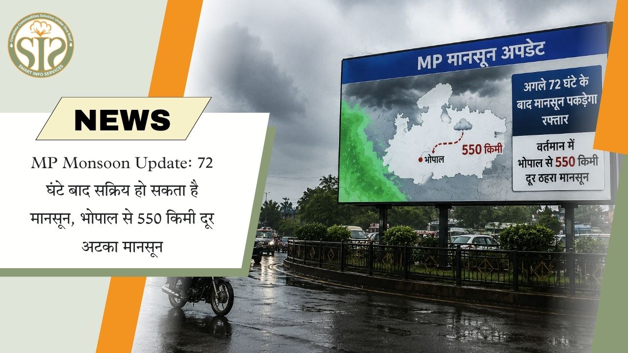 एमपी में 72 घंटे बाद तेज हो सकता है मानसून