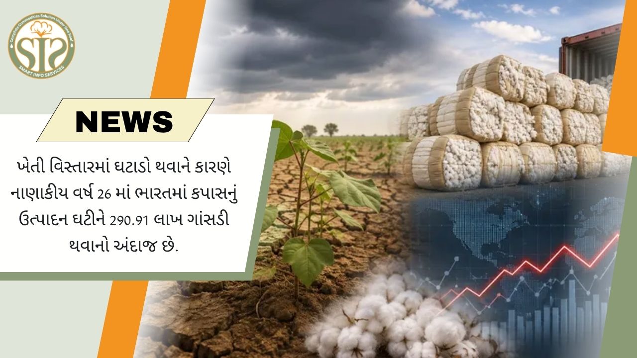 FY26માં ભારતનું કપાસ ઉત્પાદન ઘટીને 290.91 લાખ ગાંસડી રહેવાનો અંદાજ