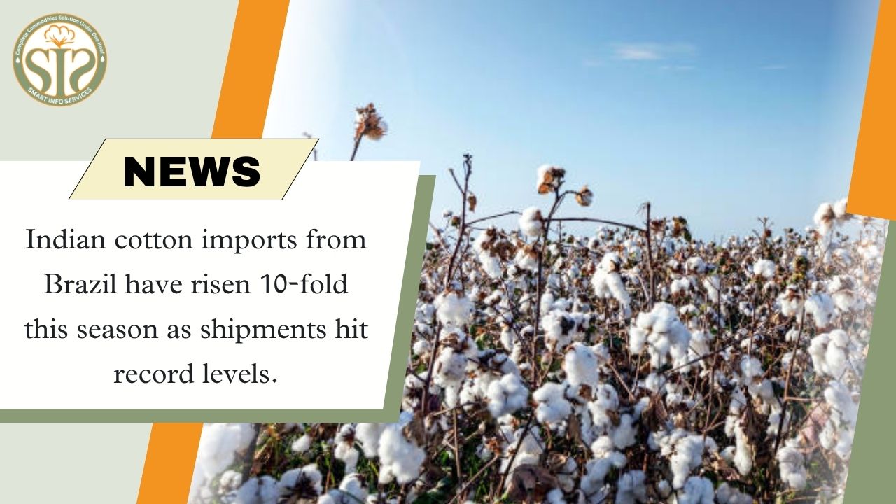 Indian cotton imports from Brazil increased 10 times