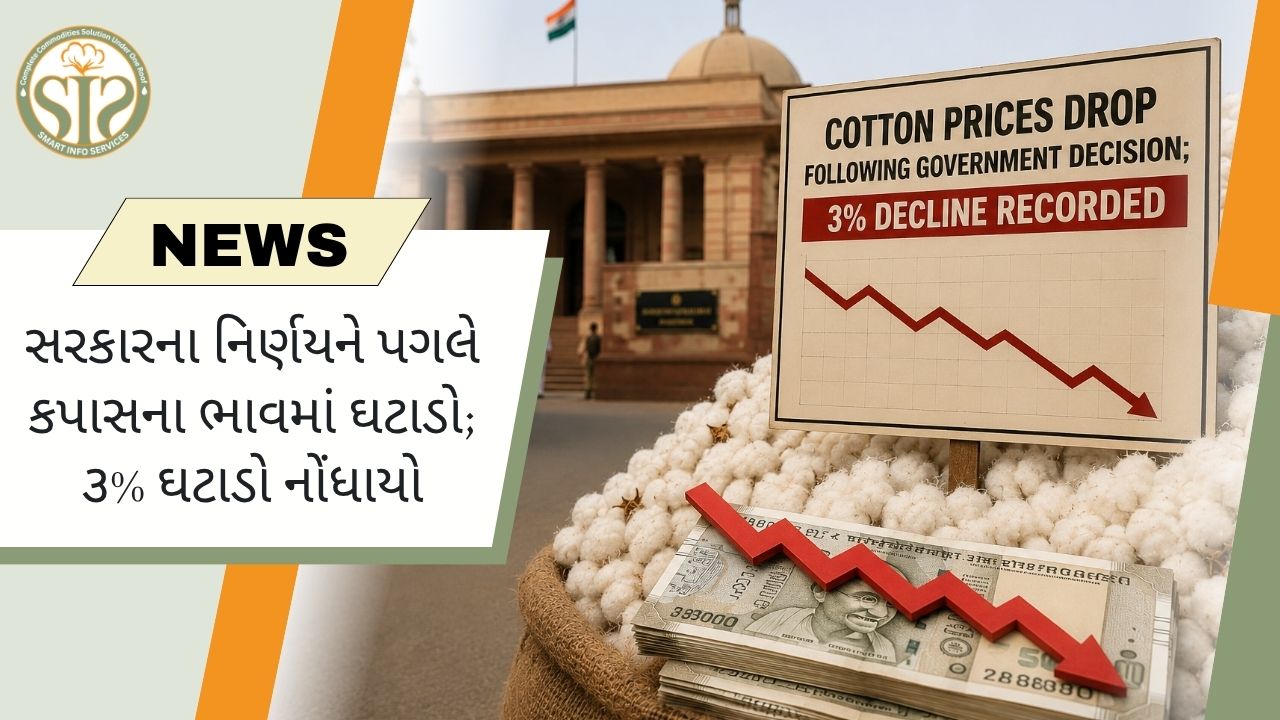 આયાત શુલ્ક માફી બાદ કપાસ અને યાર્નના ભાવ ઘટ્યા