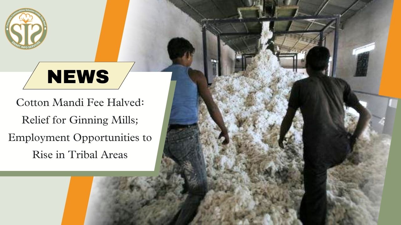 Cotton Mandi Fee Cut to 0.5% in Madhya Pradesh; Boost for Ginning Mills and Tribal Employment