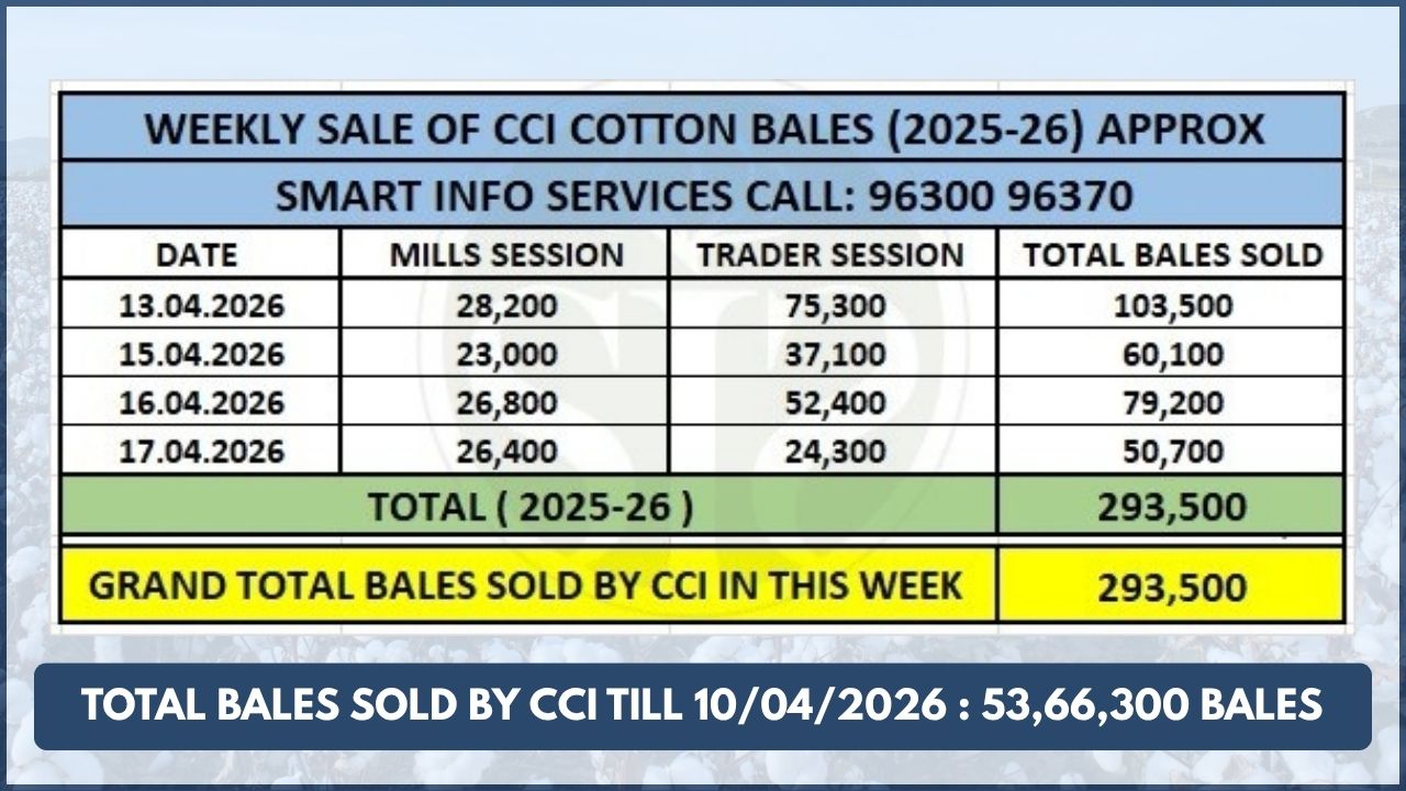 CCI increases cotton prices, sales cross 2.93 lakh bales