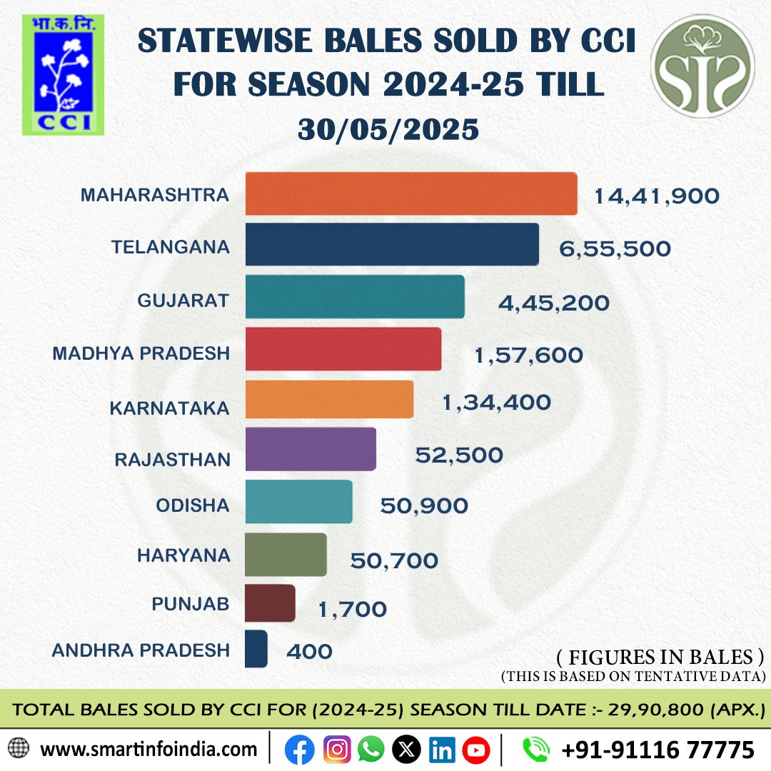 2024-25 सीजन के लिए CCI कॉटन बिक्री अपडेट