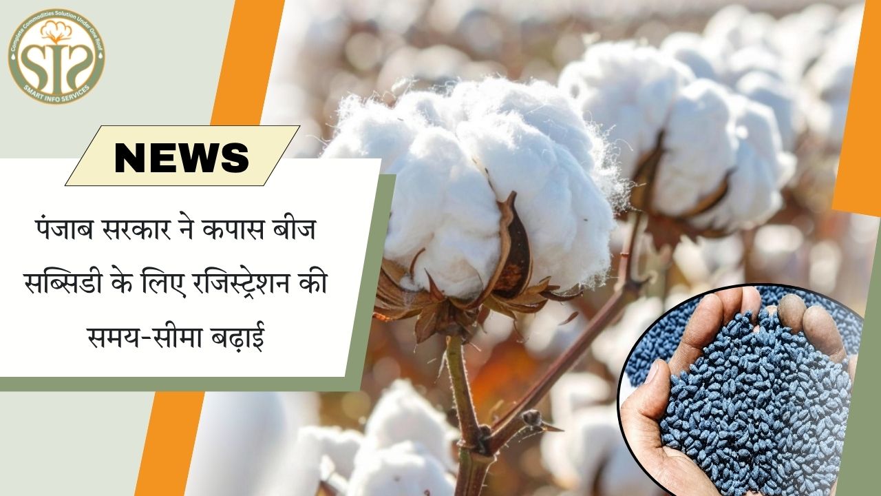 पंजाब ने कपास बीज सब्सिडी पंजीकरण की समयसीमा 15 दिन बढ़ाई