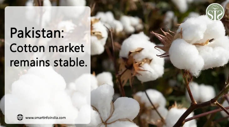 Pakistan: Cotton market remains stable.