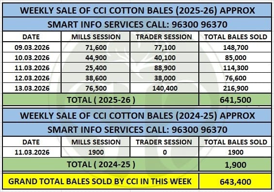 CCI Raises Cotton Prices by ₹200–₹400; 6.4 Lakh Bales Sold in Auctions