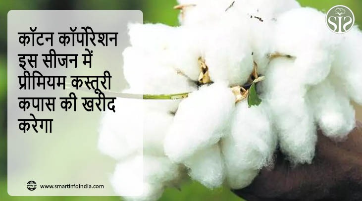 कॉटन कॉर्पोरेशन इस सीजन में प्रीमियम कस्तूरी कपास की खरीद करेगा
