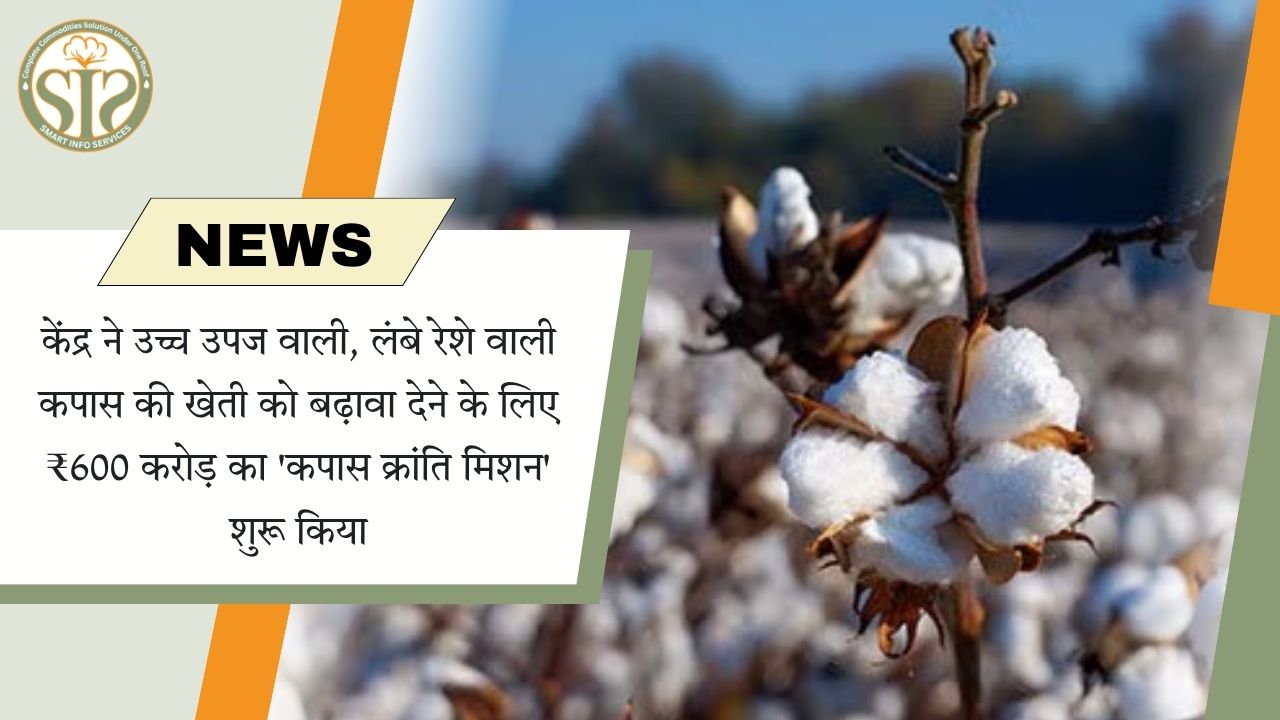 केंद्र ने ₹600 करोड़ का 'कपास क्रांति मिशन' शुरू किया