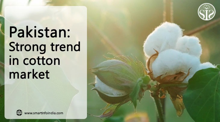Pakistan:Strong trend in cotton market