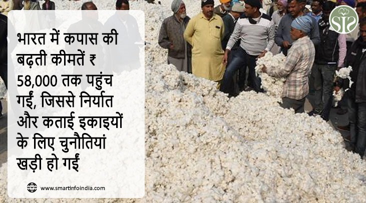 भारत में कपास की बढ़ती कीमतें ₹58,000 तक पहुंच गईं, जिससे निर्यात और कताई इकाइयों के लिए चुनौतियां खड़ी हो गईं
