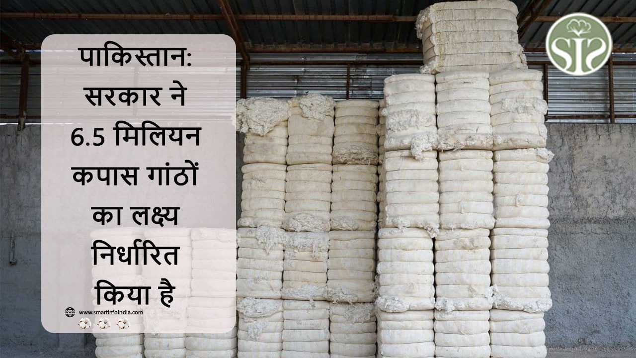 पाकिस्तान: सरकार ने 6.5 मिलियन कपास गांठों का लक्ष्य निर्धारित किया है