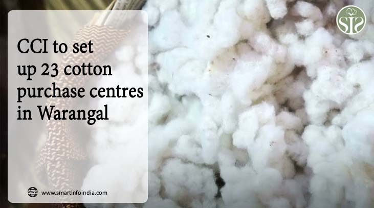 CCI to set up 23 cotton procurement centers in Warangal