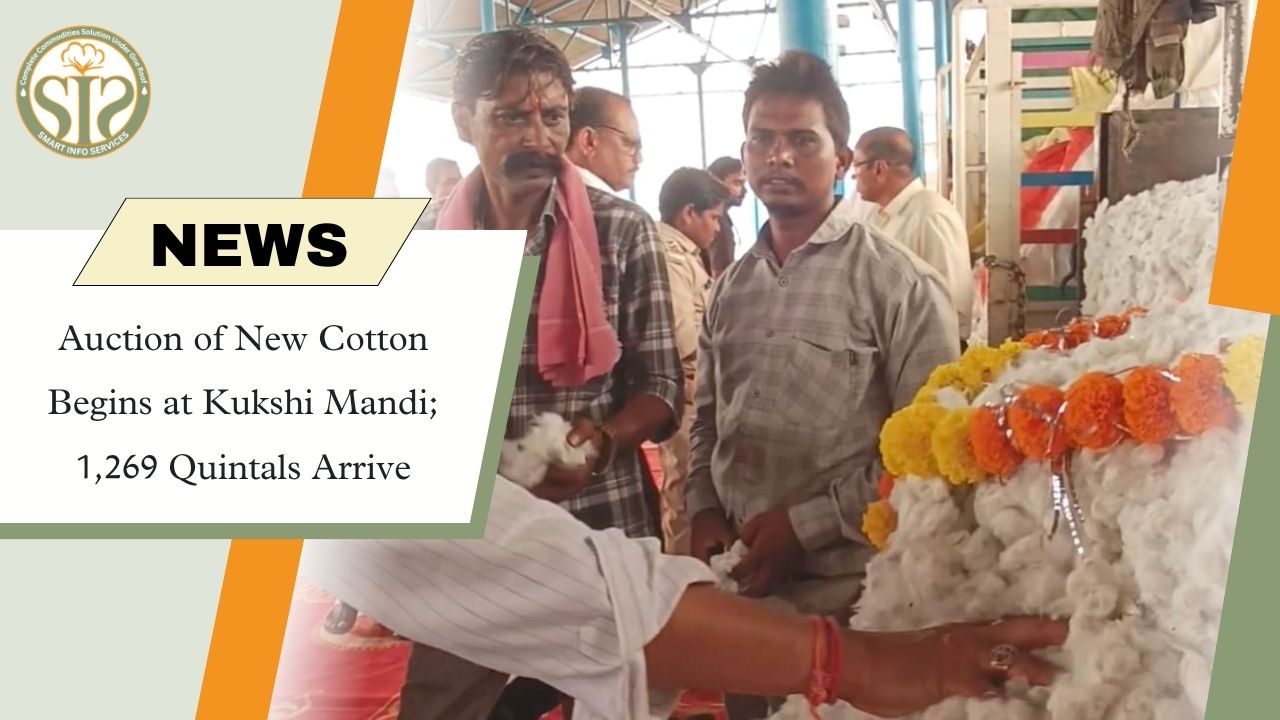 Kukshi Mandi New Cotton Auction Begins